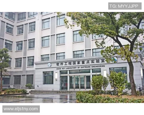 武汉排球队的辉煌崛起与钻石联赛的精彩瞬间回顾